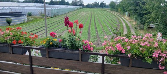 4-Zimmer Stadthaus in Nuremberg, Germany, Nr. 322579 6