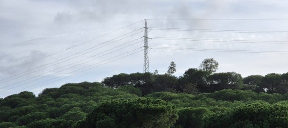 Terreno en Cádiz, Spain 5093 m² No. 146685 5