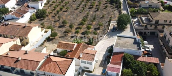 8 bedrooms House in Silves, Portugal No. 13756 10