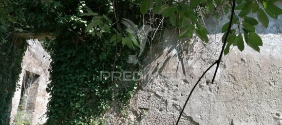 7 غرف نوم منزل في Marco de Canaveses, Portugal رقم 39571 22