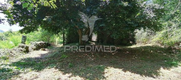 7 غرف نوم منزل في Marco de Canaveses, Portugal رقم 39571 16