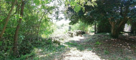 7 غرف نوم منزل في Marco de Canaveses, Portugal رقم 39571 14