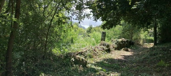 7 غرف نوم منزل في Marco de Canaveses, Portugal رقم 39571 10