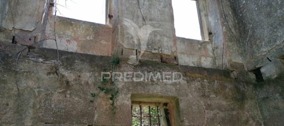 7 غرف نوم منزل في Marco de Canaveses, Portugal رقم 39571 11