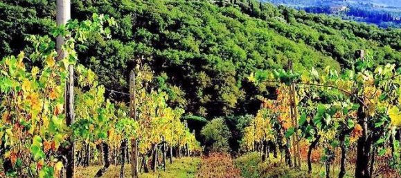 Вилла с 20 спальнями в Греве ин Кьянти, Италия № 378330 4