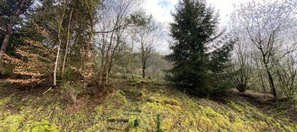 Casa de 2 dormitorios en Niederbronn-les-Bains, France No. 95322 9