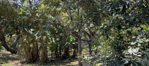 3 bedrooms House in Ko Samui, Thailand No. 26787 15