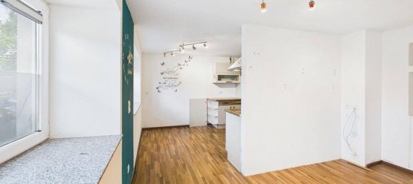 2 rooms House in Baldramsdorf, Austria No. 255370 7