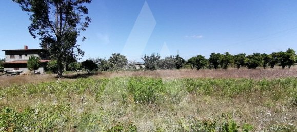 Grundstück in Cacia, Portugal 750m², Nr. 93218 3