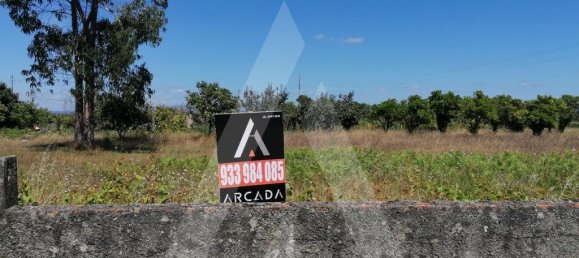 Grundstück in Cacia, Portugal 750m², Nr. 93218 7