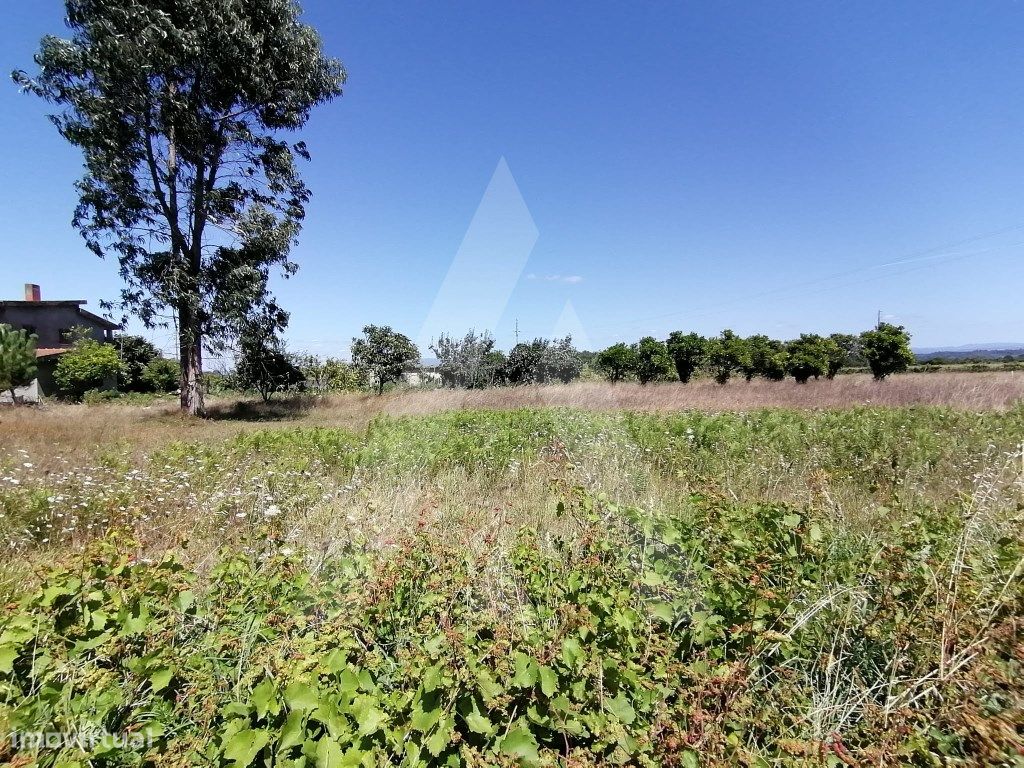 Grundstück in Cacia, Portugal 750m², Nr. 93218