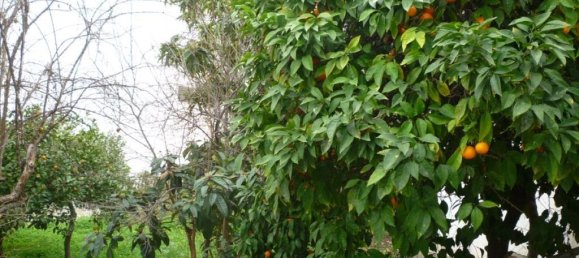 Hotel em Euboea, Greece 480 m² N.º 6470 3