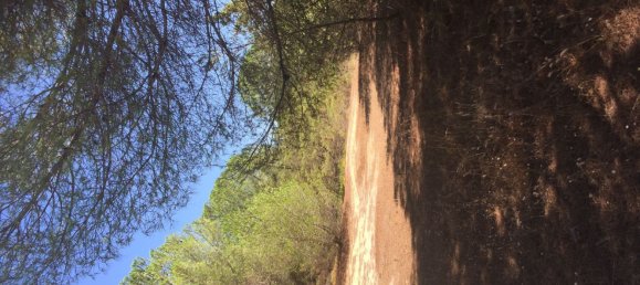 قطعة أرض في Sorso, Italy 15000متر مربع رقم 255671 13