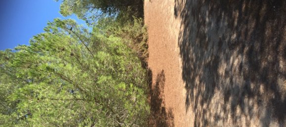 قطعة أرض في Sorso, Italy 15000متر مربع رقم 255671 5