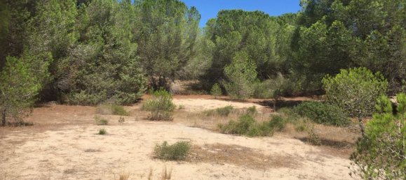 قطعة أرض في Sorso, Italy 15000متر مربع رقم 255671 3