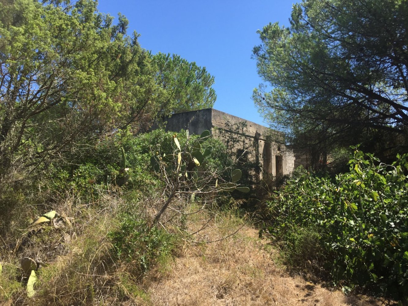  قطعة أرض في Sorso, Italy 15000متر مربع رقم 255671