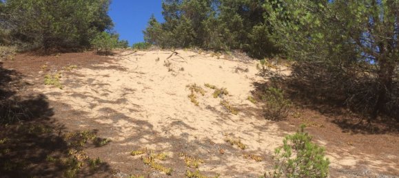 قطعة أرض في Sorso, Italy 15000متر مربع رقم 255671 10