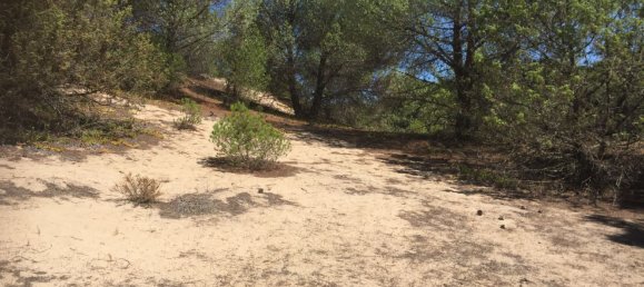 قطعة أرض في Sorso, Italy 15000متر مربع رقم 255671 6