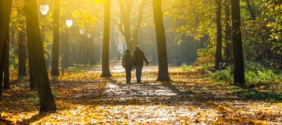 Studio in Moabit, Germany No. 219561 23