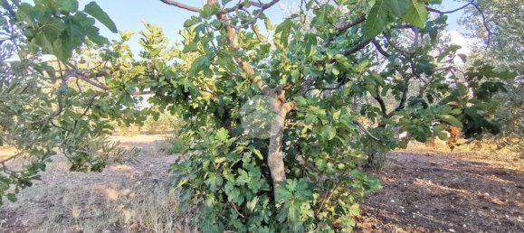 Земельный участок 3766м² в Лучера, Италия № 260990 9