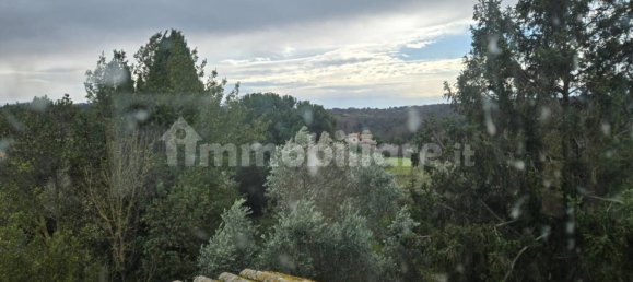 8 bedrooms Villa in Campagnano di Roma, Italy No. 292399 28