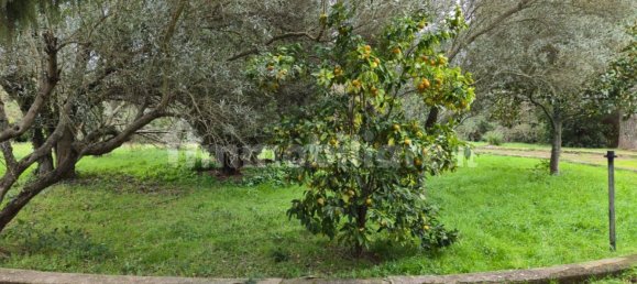 8 bedrooms Villa in Campagnano di Roma, Italy No. 292399 19