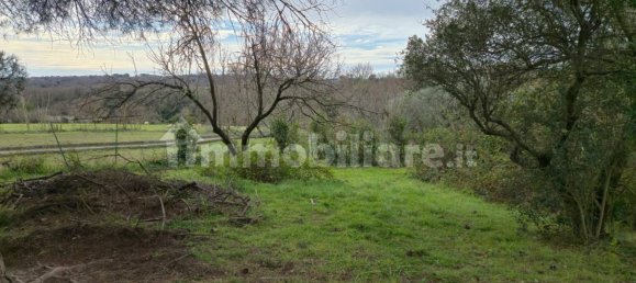 8 bedrooms Villa in Campagnano di Roma, Italy No. 292399 15