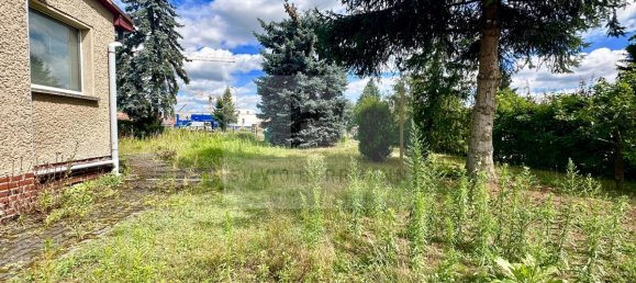 4 غرف نوم قطعة أرض في Dahme-Spreewald, Germany رقم 341864 5