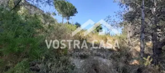  Land in Valencia, Spain No. 153977 13