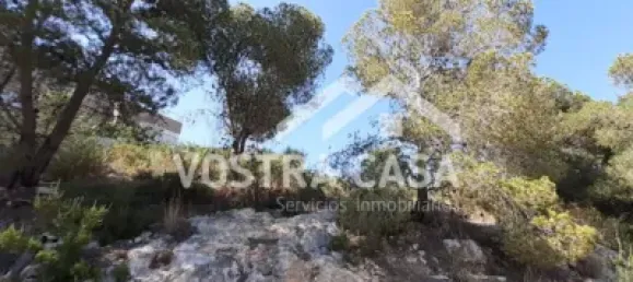  Land in Valencia, Spain No. 153977 11