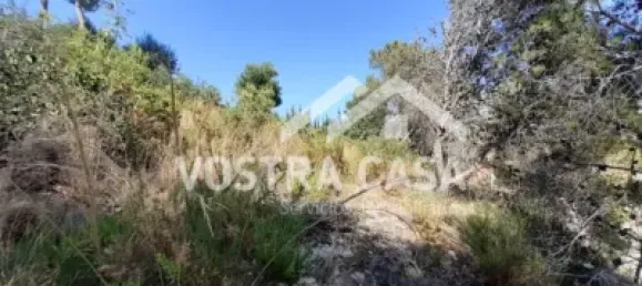  Land in Valencia, Spain No. 153977 12