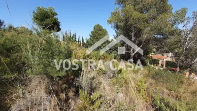  Land in Valencia, Spain No. 153977