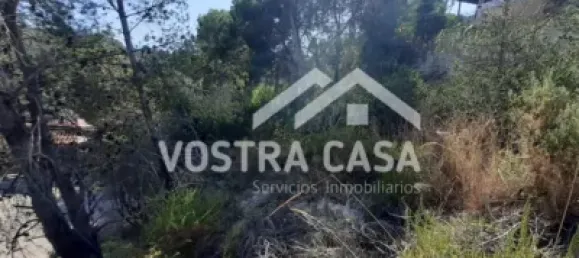  Land in Valencia, Spain No. 153977 8