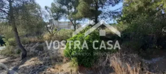  Land in Valencia, Spain No. 153977 7