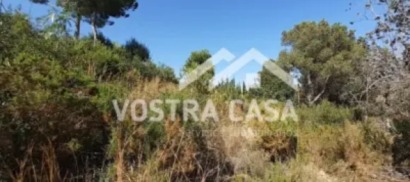  Land in Valencia, Spain No. 153977 5