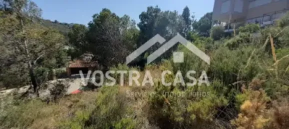  Land in Valencia, Spain No. 153977 3