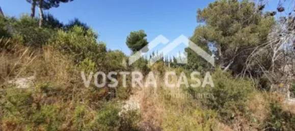  Land in Valencia, Spain No. 153977 6