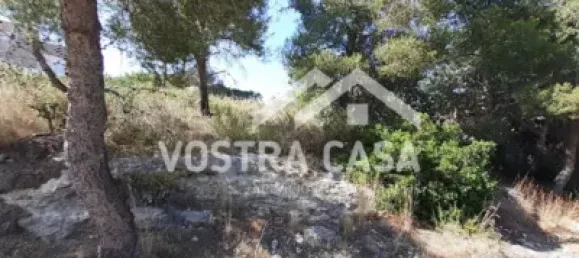  Land in Valencia, Spain No. 153977 9