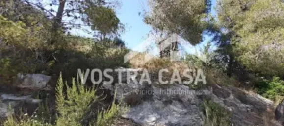  Land in Valencia, Spain No. 153977 10