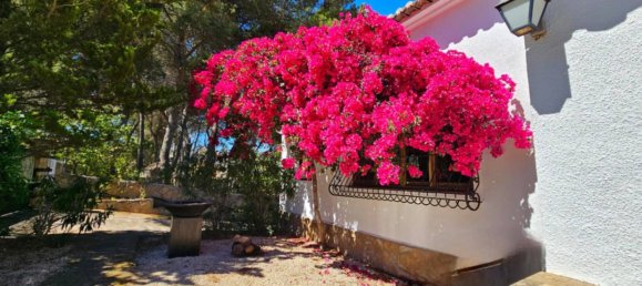 6 غرف نوم منزل في Alicante, Spain رقم 134570 31