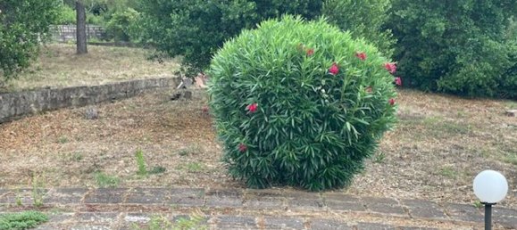 6 bedrooms House in Rio, Italy No. 331825 2