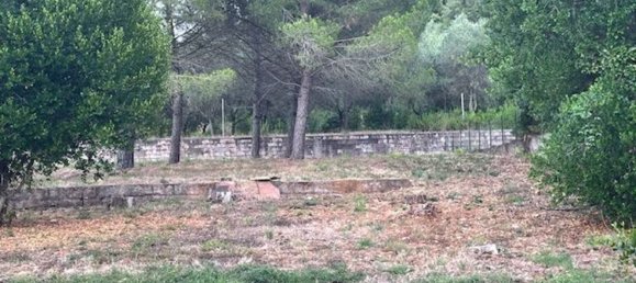 6 bedrooms House in Rio, Italy No. 331825 7