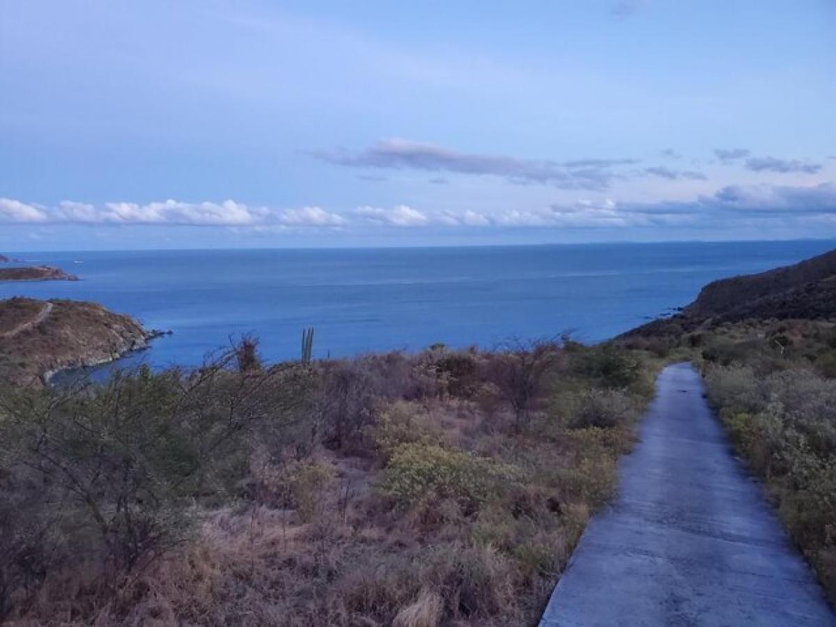 Terrain à Saint John, USA No. 536576