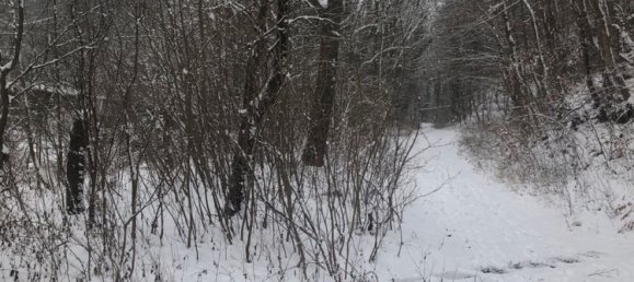 5غرفة منزل في Burgenlandkreis, Germany رقم 170286 25