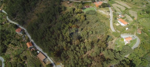 Grundstück in Baiao, Portugal 9143m², Nr. 60414 5