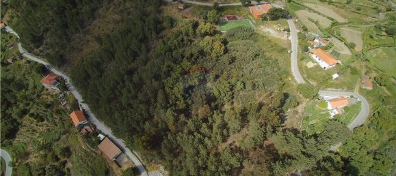 Grundstück in Baiao, Portugal 9143m², Nr. 60414 3