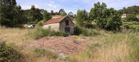 Grundstück in Baiao, Portugal 9143m², Nr. 60414 2