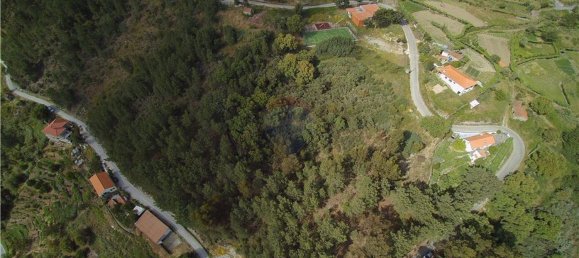 Grundstück in Baiao, Portugal 9143m², Nr. 60414 4