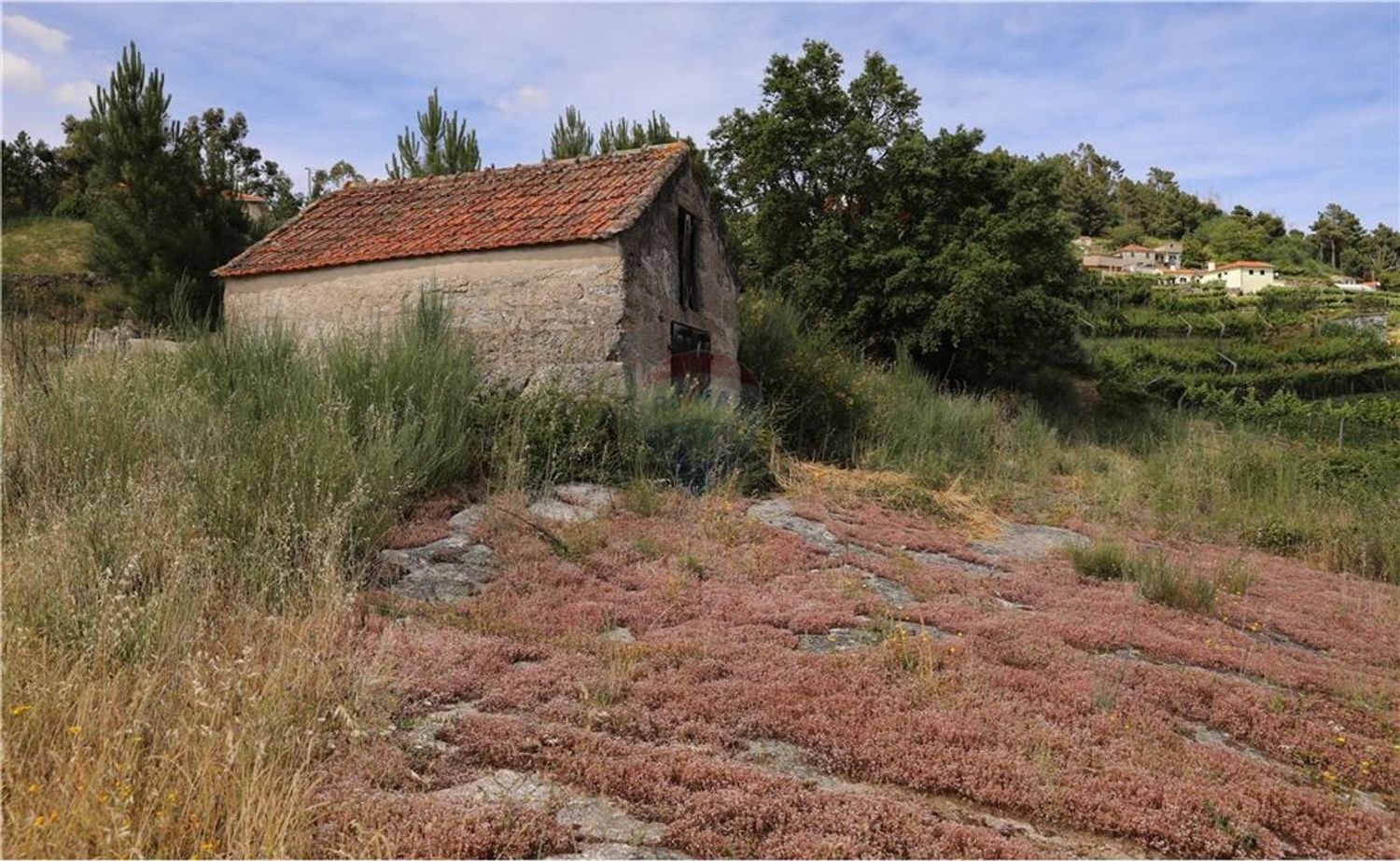 Grundstück in Baiao, Portugal 9143m², Nr. 60414