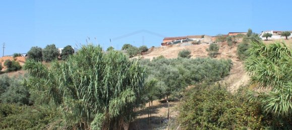 3 Schlafzimmer Haus in Rio Maior, Portugal, Nr. 257975 31